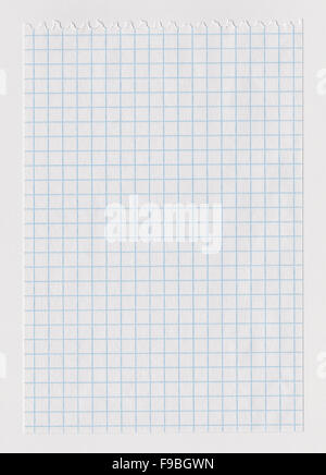 White notebook paper sheet torn from notebook Stock Photo