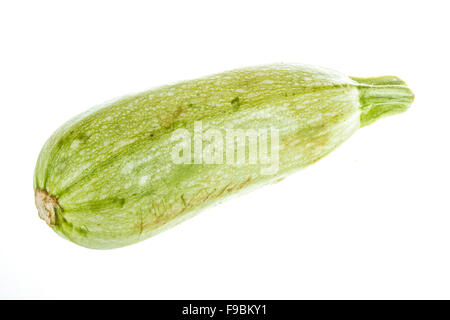 Single Courgette Single Courgette or zucchini from low perspective isolated on white ...