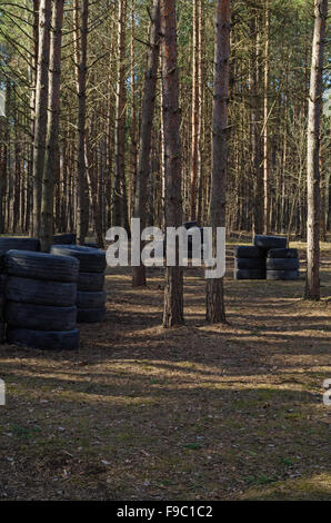 Lasertag game polygon in pine forest with barricade from tires. Stock Photo