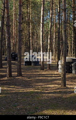 Lasertag game polygon in pine forest with barricade from tires. Stock Photo