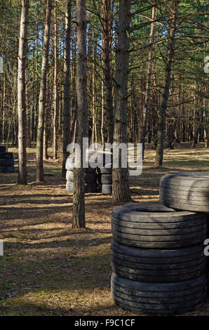 Lasertag game polygon in pine forest with barricade from tires. Stock Photo