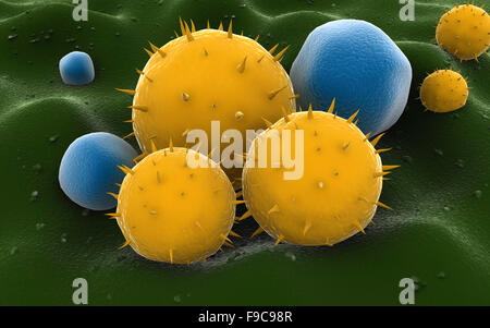 Cytology Stock Photo: 168848013 - Alamy