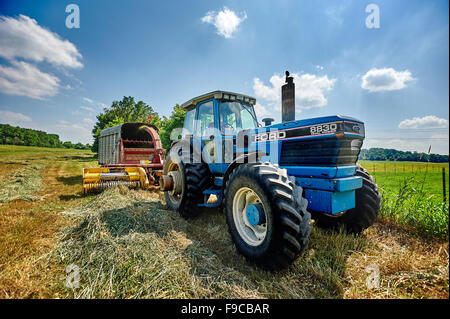Using a tractor to collect hay to feed cattle on a Minnesota dairy farm Stock Photo