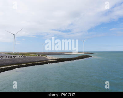 Wind turbines in the North Sea near the Eastern Scheldt storm surge barrier dam (Oosterscheldekering). Stock Photo