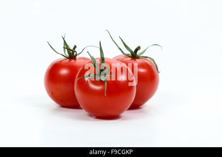 The tomato is the edible, often red fruit/berry of the nightshade Solanum lycopersicum Stock Photo