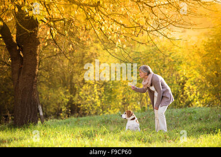 Senior woman walking her beagle dog in countryside Stock Photo