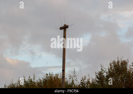 homemade TV antenna on a pole against the evening sky Stock Photo
