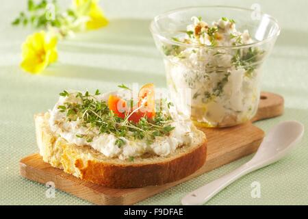 Watercress Spread with Nuts Stock Photo - Alamy