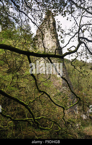 Ilam rock a limestone pinnacle in Dovedale, peak District, Derbyshire, England. Stock Photo