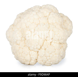 one fresh cauliflower isolated on white background Stock Photo