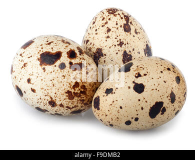 group of quail eggs isolated on white background Stock Photo