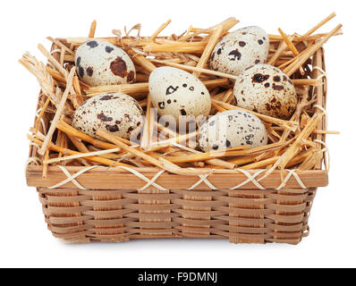 Quail eggs in basket isolated on white background Stock Photo
