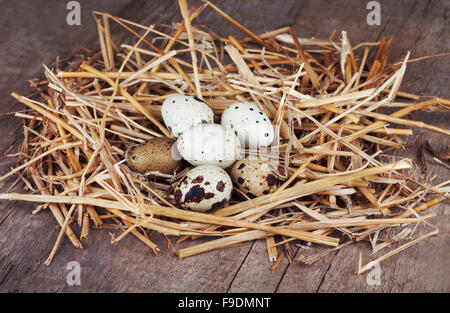 quail eggs in straw nest on wooden background Stock Photo