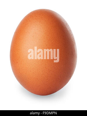 Single brown chicken egg isolated on white background Stock Photo