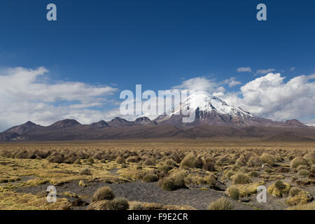 Photograph of the highest mountain in Bolivia Mount Sajama. Stock Photo