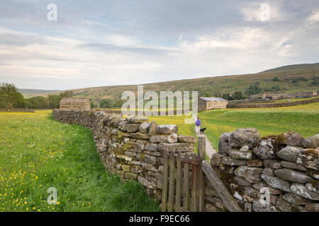 Wildflower meadows near the Dales village of Muker, Swaledale, Yorkshire Dales National Park, North Yorkshire, England, UK Stock Photo