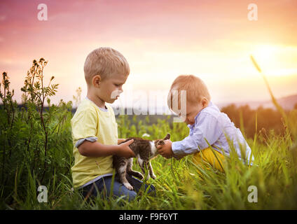 Little boys playing with kitten and having fun outside in a park Stock Photo