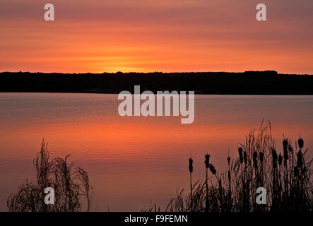 WA12352-00...WASHINGTON - Sunrise at Quincy Lake in the Quincy Wildlife Recreation Area near Quincy. Stock Photo