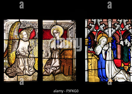 France Paris Cluny museum stained glass images Stock Photo