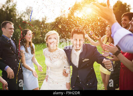 Full length portrait of newlywed couple and their friends at the wedding party showered with confetti in green sunny park Stock Photo