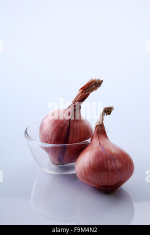 whole onion in a transparent glass bowl Stock Photo