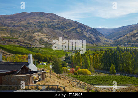 Mt Difficulty wine tasting room, Bannockburn, Central Otago, South Island, New Zealand Stock Photo