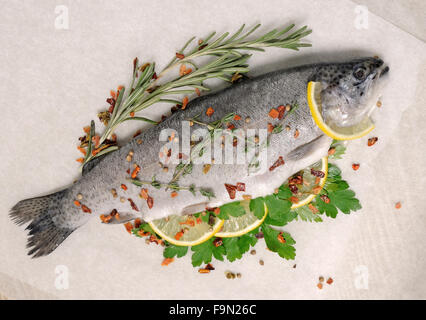 Fresh trout with lemon and spices on parchment Stock Photo