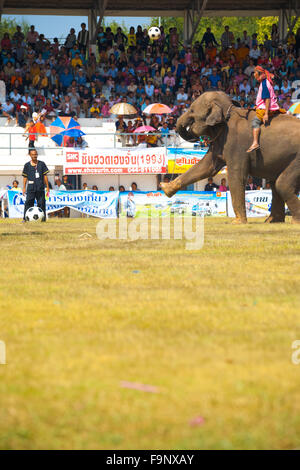 Elephant kicking football high during onfield exhibition soccer match in front of large grandstand at Surin Elephant Roundup Stock Photo