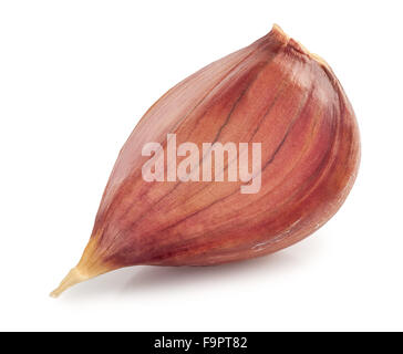 Garlic clove isolated on white background Stock Photo - Alamy