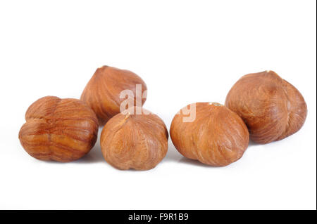 peeled hazelnuts isolated on white background Stock Photo