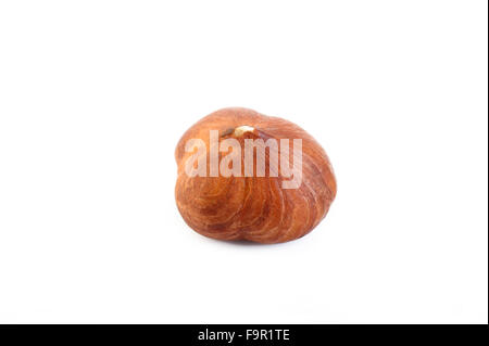 peeled hazelnut isolated on white background Stock Photo