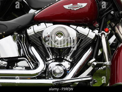 Harley Davidson Softail motorbike with a polished and shiny engine block Stock Photo