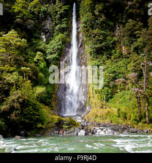 Thunder Creek Falls in Mount  Aspiring National Park, along HAAST Highway. A 96 Metre waterfall in New Zealand's South Island. Stock Photo