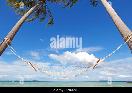 Hammock between two palm trees on blue sea bsckground Stock Photo