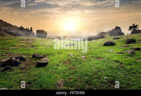 Fog and birds in the Valley of Ghosts Stock Photo