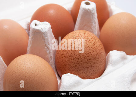 Six eggs in a white paper container Stock Photo