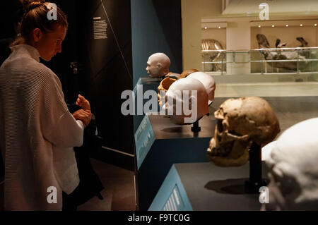 Human evolution gallery at the Natural History Museum in London United Kingdom UK Stock Photo