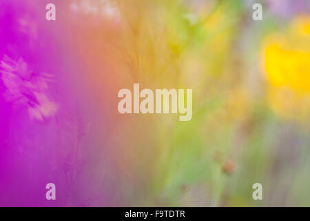 Colorful Abstract Blur Stock Photo
