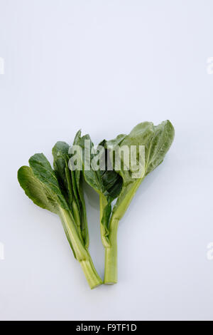 Chinese mustard green on white background Stock Photo