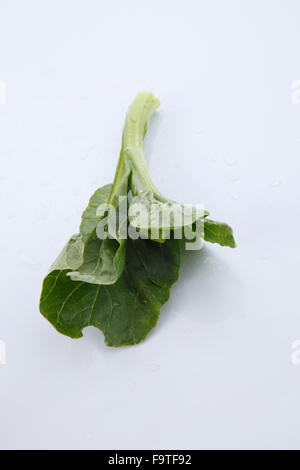 Chinese mustard green on white background Stock Photo