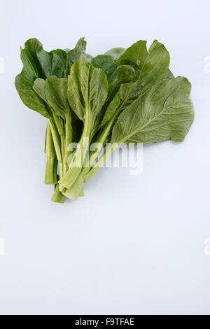 Chinese mustard green on white background Stock Photo