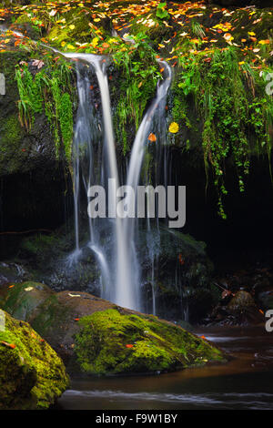 Waterfall on the Große Ohe river which flows through the Steinklamm valley, Bavarian Forest National Park, Bavaria, Germany Stock Photo