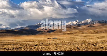 Bolivia, La Paz, Altiplano, group of small houses in the Bolivian Plateau with Cordillera Real mountains on the background Stock Photo