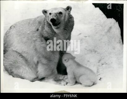 1962 - ''Isabella'' and Her Baby Cub at the Stockholm Zoo?. Mother Keeps Guard. Isabella the Popular Polar Bear at Stockholm Zoo recently gave birth to an as yet un-namedcub. It is anticipated that the baby will attain popularity that will vie with that of the world famous London Zoo's ''Brumas''. The baby is seen her as its mother stands gusrd in the cold cold snow at his pen. © Keystone Pictures USA/ZUMAPRESS.com/Alamy Live News Stock Photo