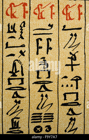 Egyptian Hieroglyphs on papyrus Stock Photo