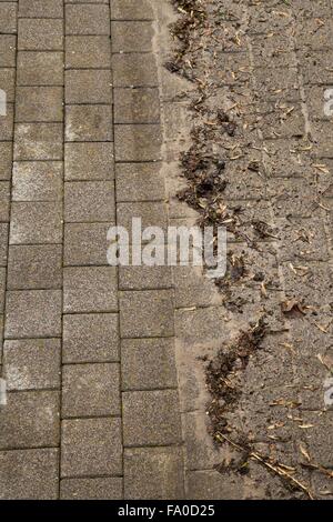 Outdoor floor cleaning with high pressure water jet Stock Photo