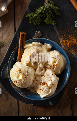 Cold Homemade Eggnog Ice Cream with Cinnamon Stock Photo