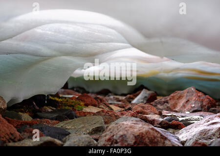 Melting water dripping from under snowfield onto rocks, Spray Park, Mount Rainier National Park, Washington State, USA Stock Photo