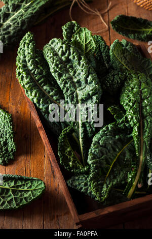 Organic Green Lacinato Kale Ready to Eat