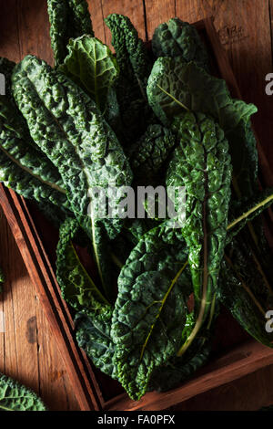 Organic Green Lacinato Kale Ready to Eat